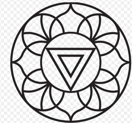The Satori Concept