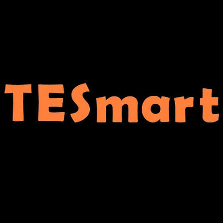 TESmart