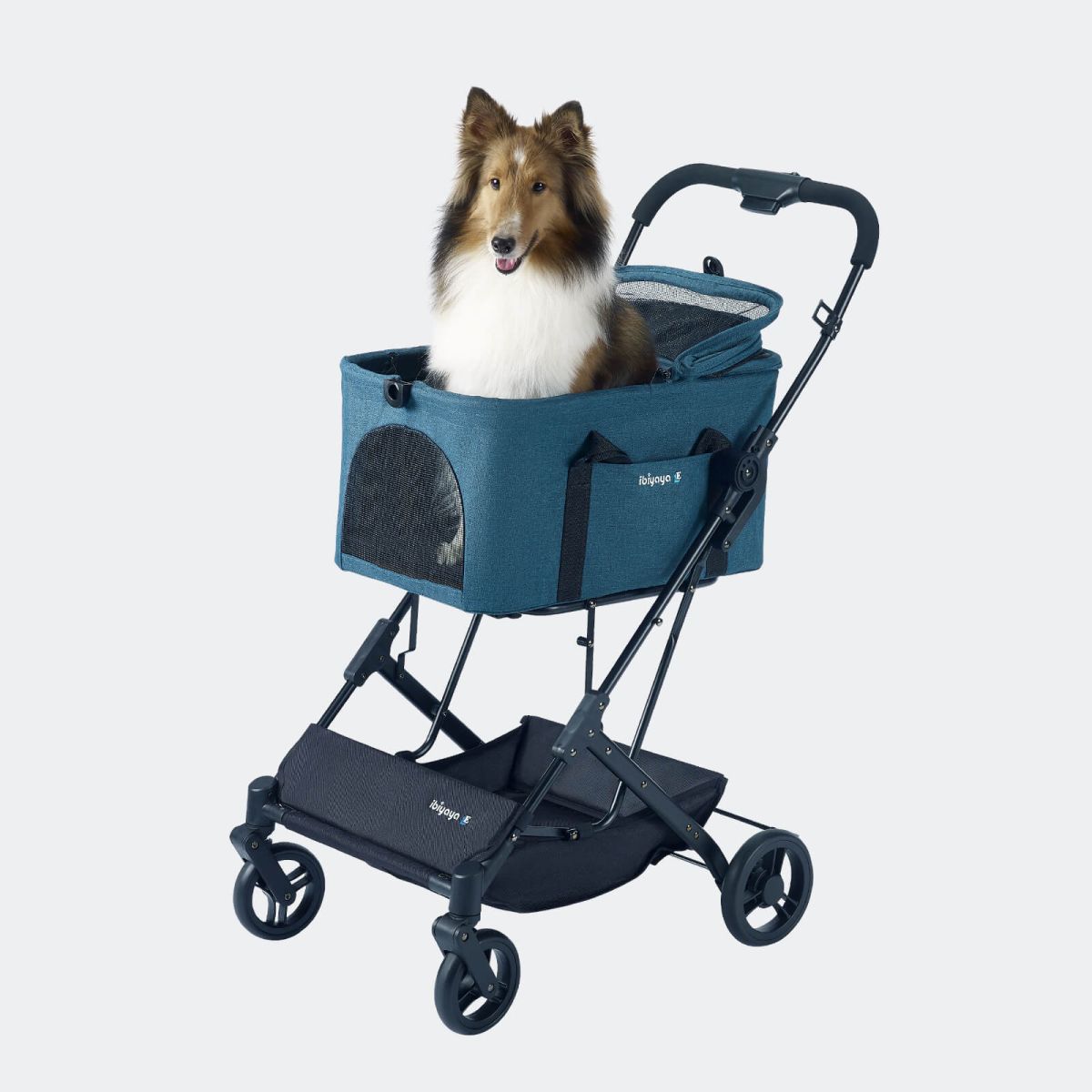 More Than a Pet Buggy: How ibiyaya Built a Stroller for Every Kind of Adventure