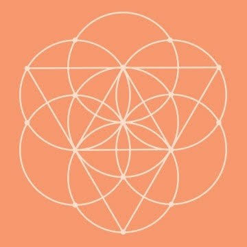 Conscious Items